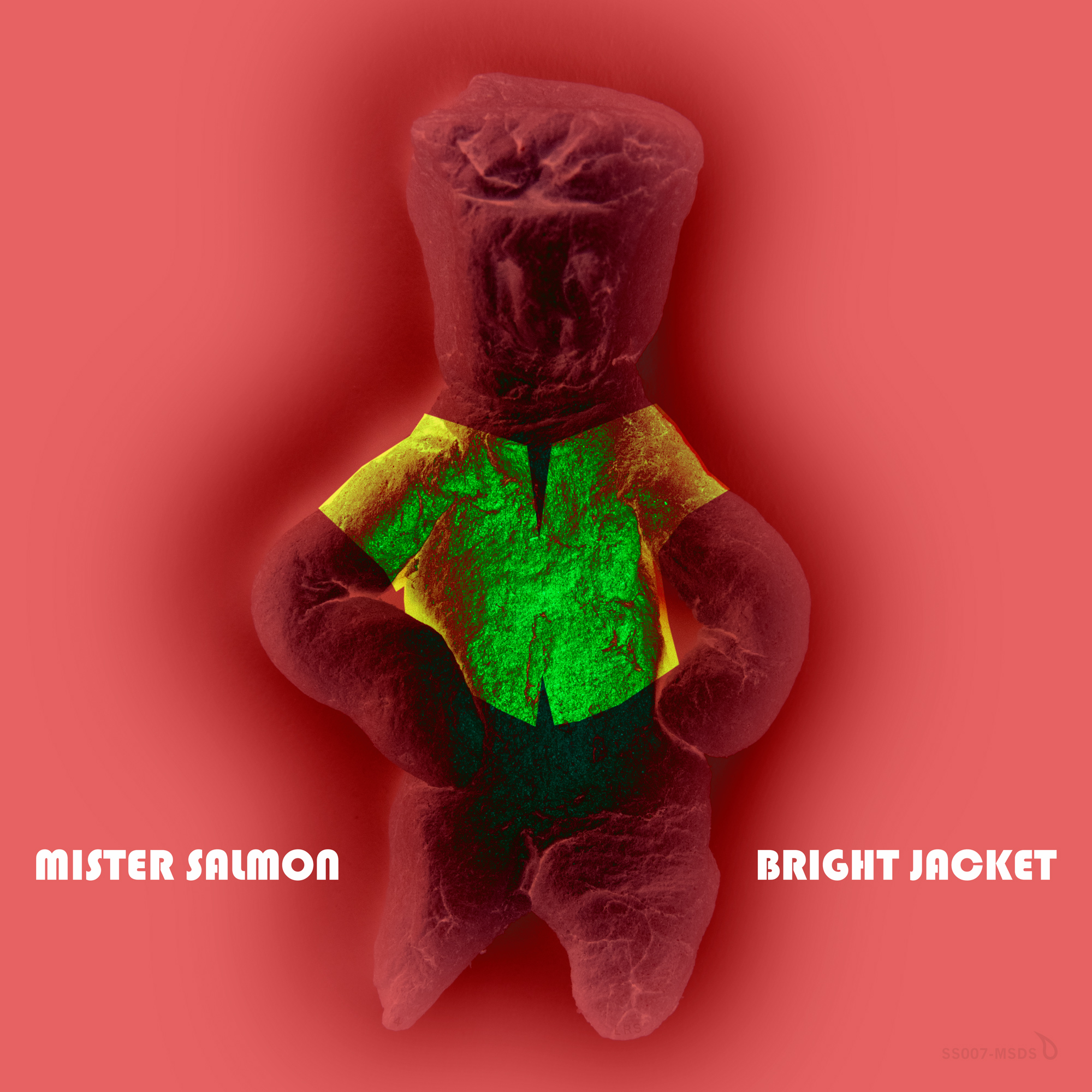 Mister Salmon - Bright Jacket. Digital single cover art 2022.